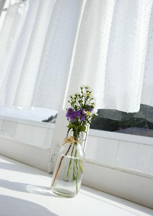 お気に入りの家具をみつけられるところ